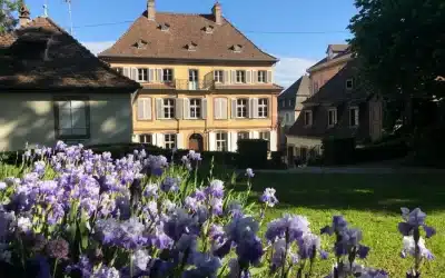 Sophie Bassot & Philippe Sutter … au Musée